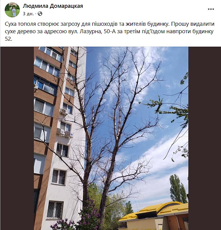 Николаевцы массово жалуются на сухие деревья: боятся непогоды и деревопада