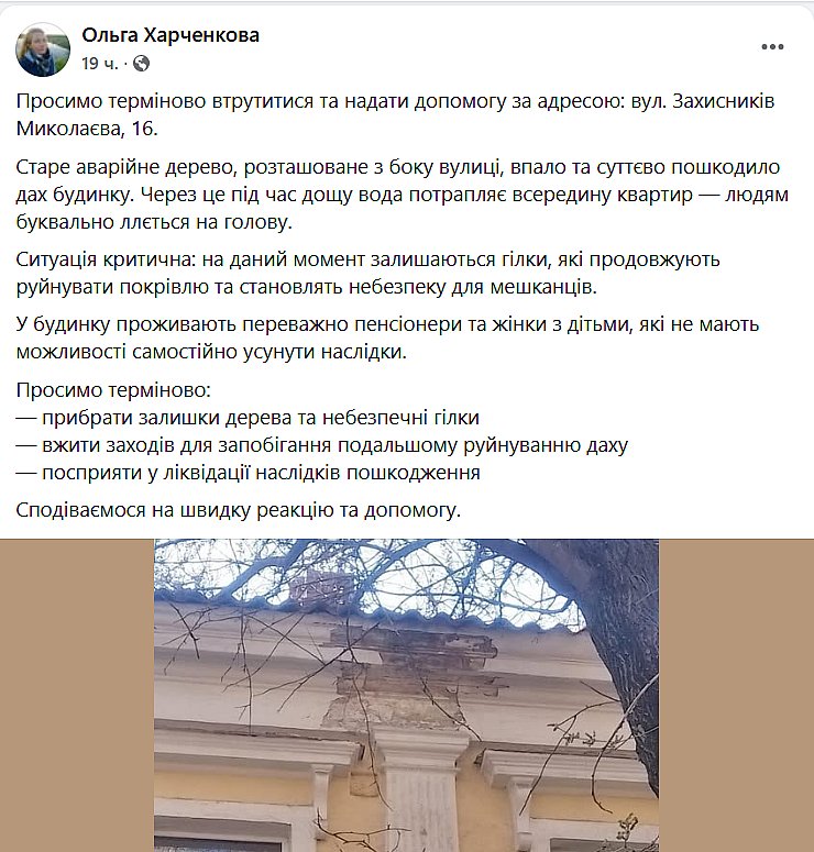 Николаевцы массово жалуются на сухие деревья: боятся непогоды и деревопада