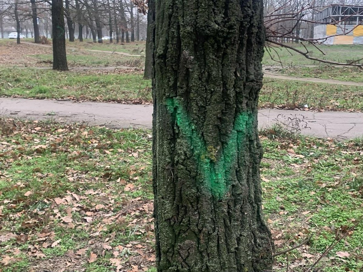 Вырубка дубов в Николаеве: по документам в парке строят спортивно-оздоровительный центр, а не АЗС