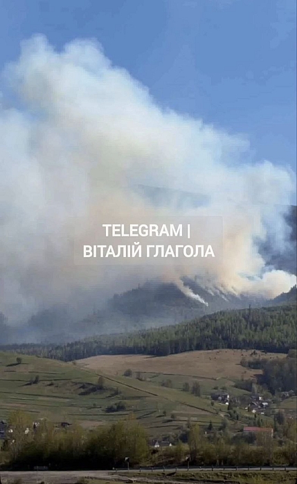 Масштабный пожар в Закарпатье: огонь охватил десятки гектаров леса