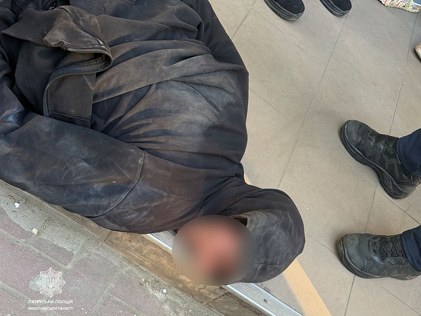 Николаевца, который пьяным избил и зарезал собаку в подъезде, поместили под стражу