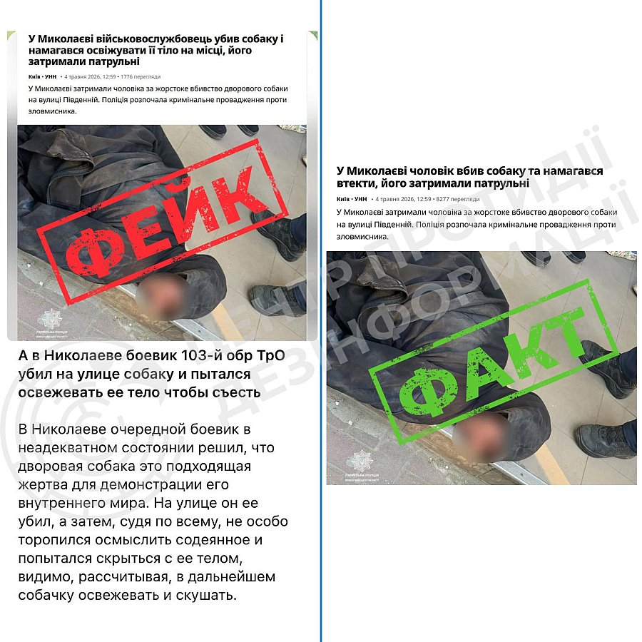 В ЦПД опровергли фейк о «военном, убившем собаку, чтобы съесть» в Николаеве