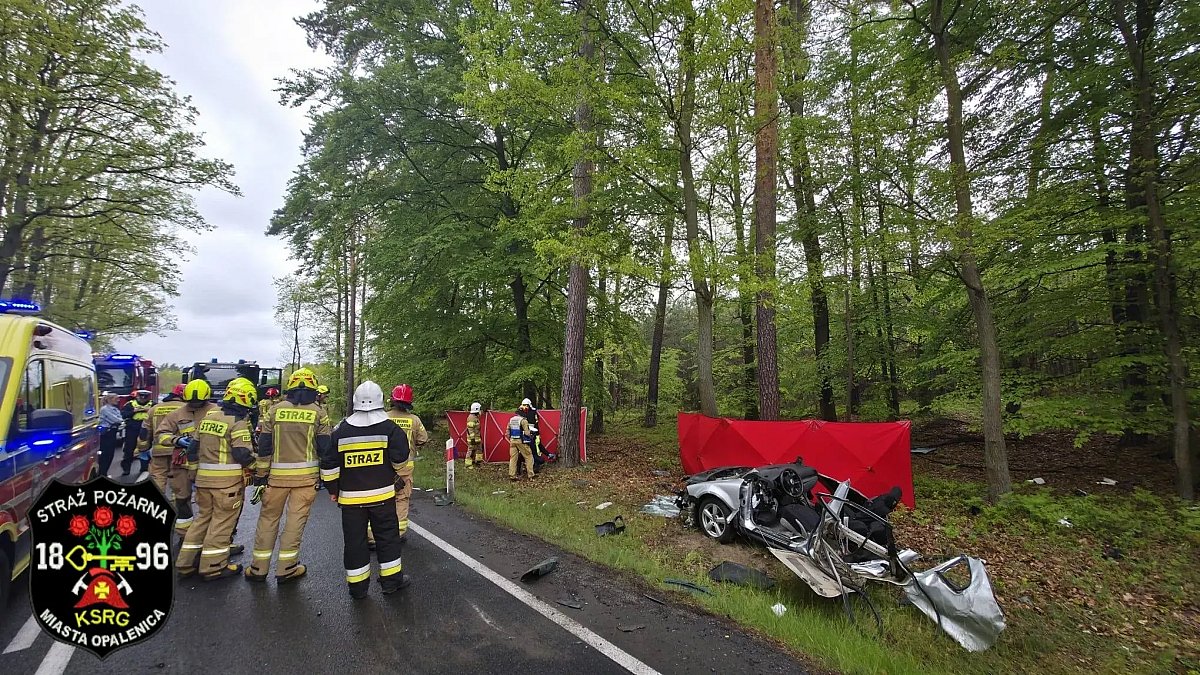 В Польше в ДТП с грузовиком погибли двое украинцев