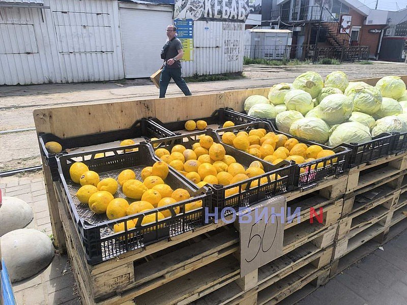 Майский рынок в Николаеве: в какую цену продают молодые фрукты и овощи (фоторепортаж)