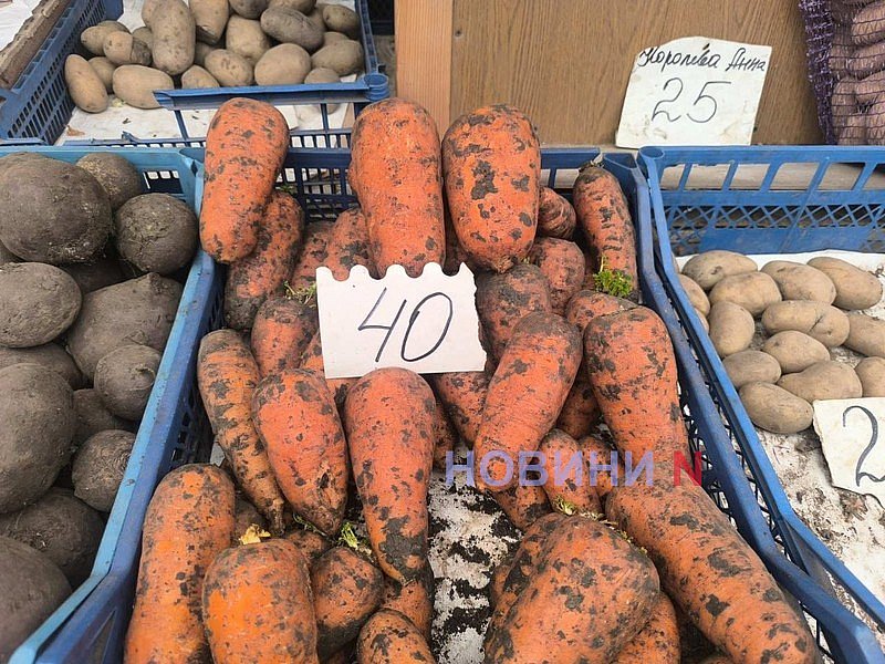 Майский рынок в Николаеве: в какую цену продают молодые фрукты и овощи (фоторепортаж)