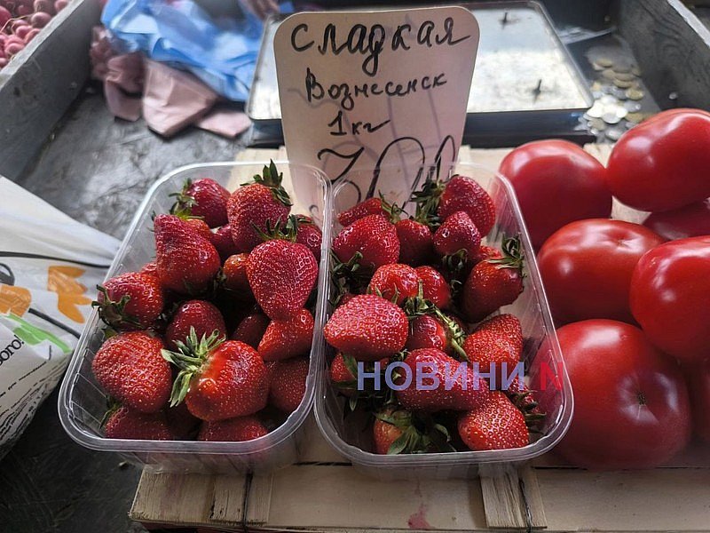 Майский рынок в Николаеве: в какую цену продают молодые фрукты и овощи (фоторепортаж)