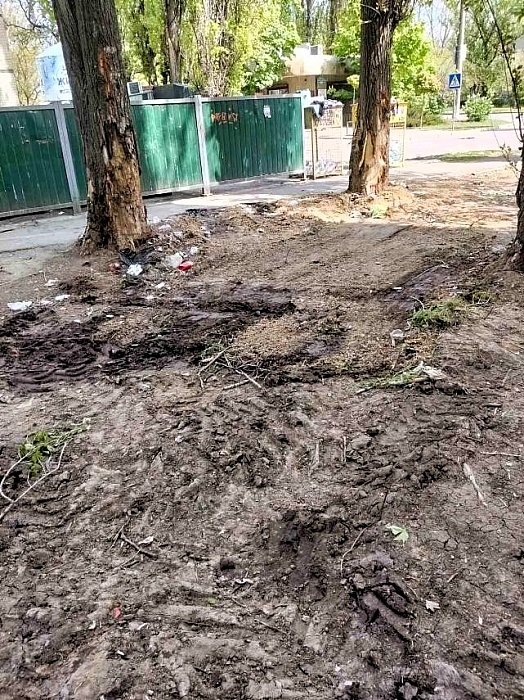 В Николаеве ликвидировали стихийные свалки после рейдового обследования