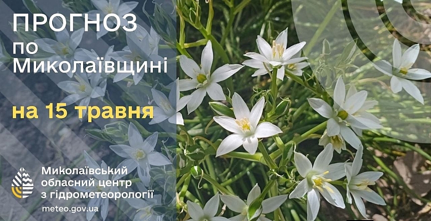 Местами туман: синоптики рассказали, какая погода прогнозируется в пятницу Николаевской области