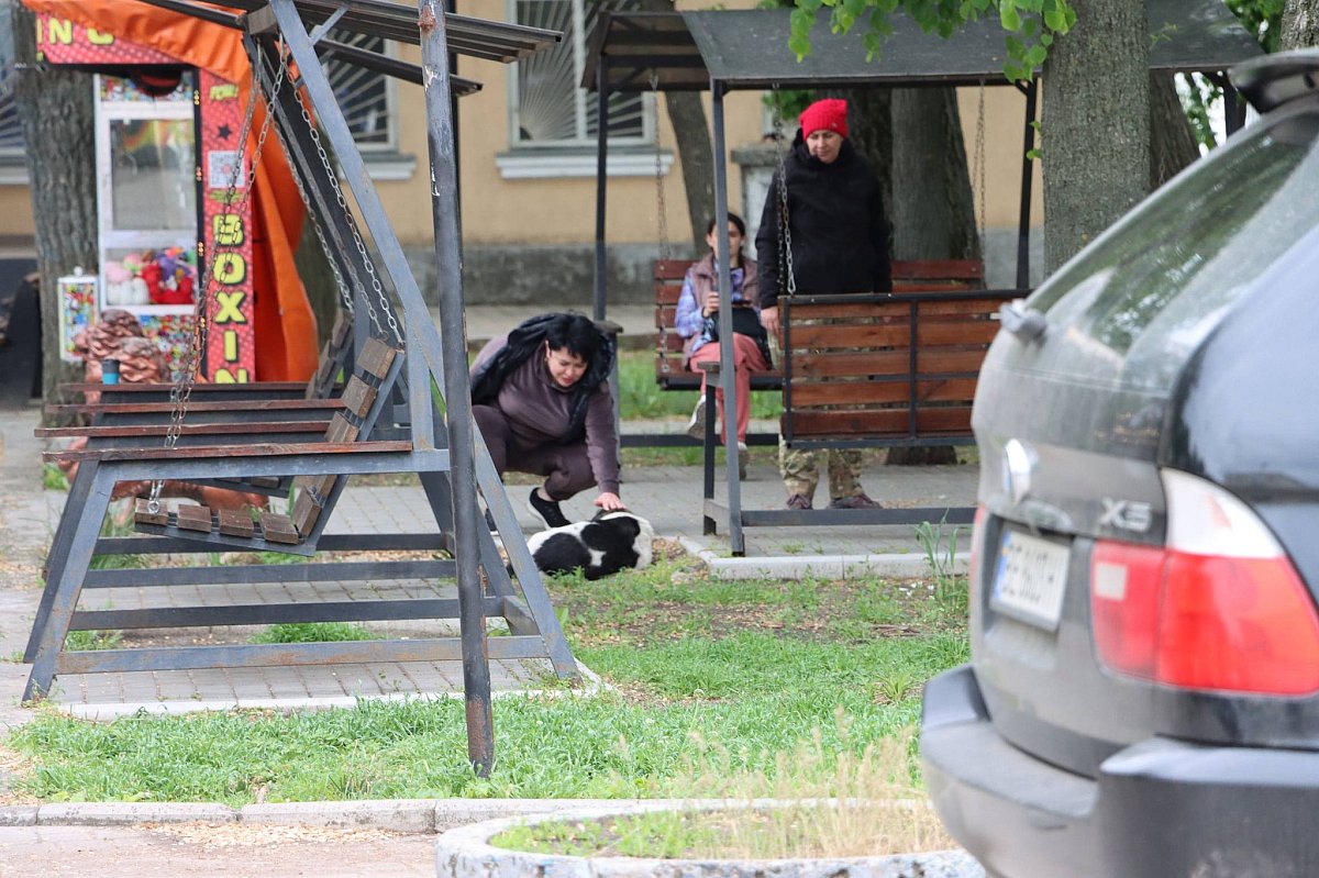 В Вознесенске провели масштабный отлов бездомных собак