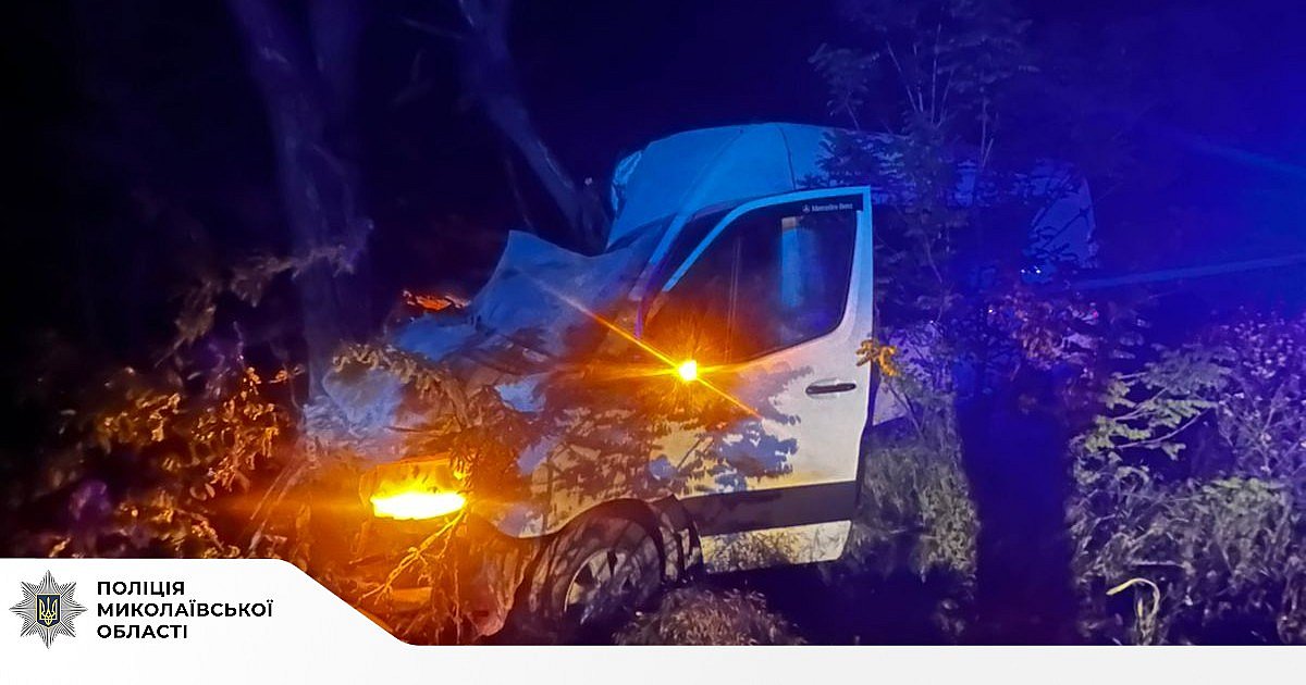 Рейсовий мікроавтобус врізався у дерево на Миколаївщині: постраждали пасажири