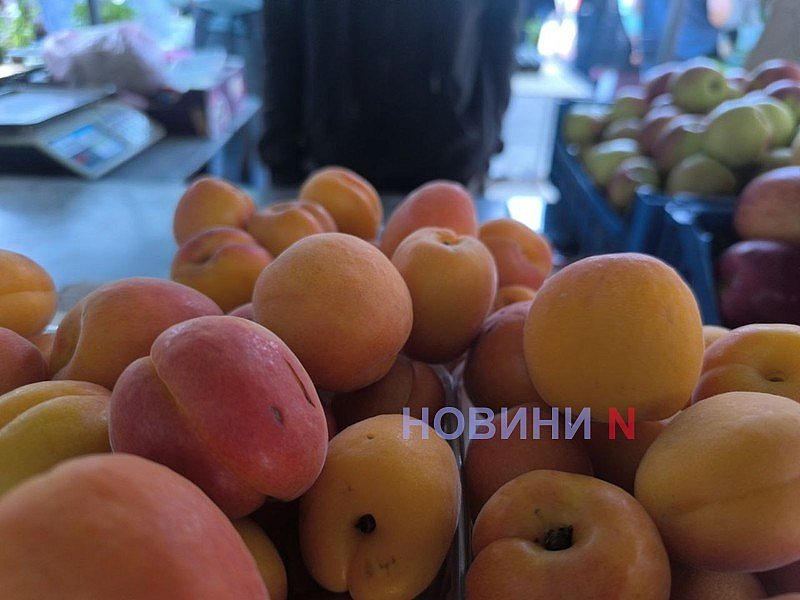 Клубника и абрикосы появились на рынках Николаева: сколько стоят