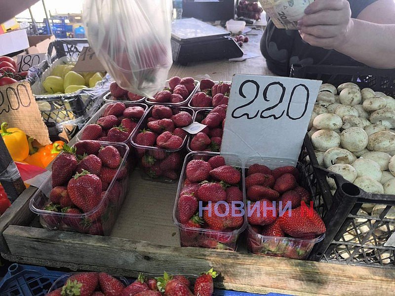 Клубника и абрикосы появились на рынках Николаева: сколько стоят