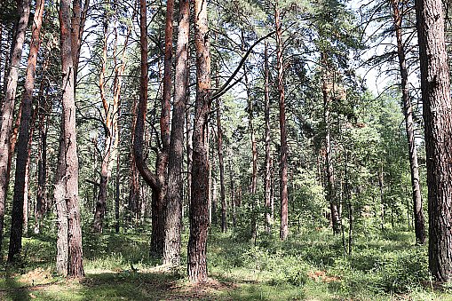 Фото ілюстраційне