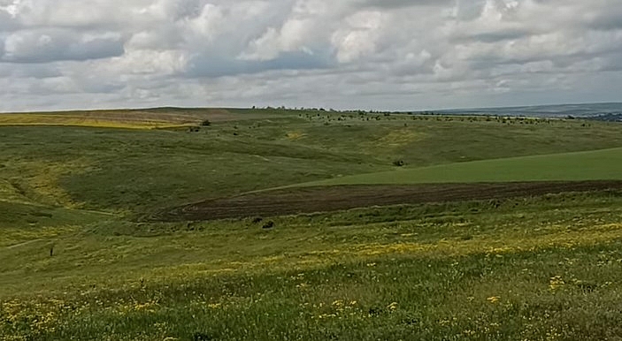 На Миколаївщині розорали ландшафтні заказники. Фото: скріншот з відео ДЕІ