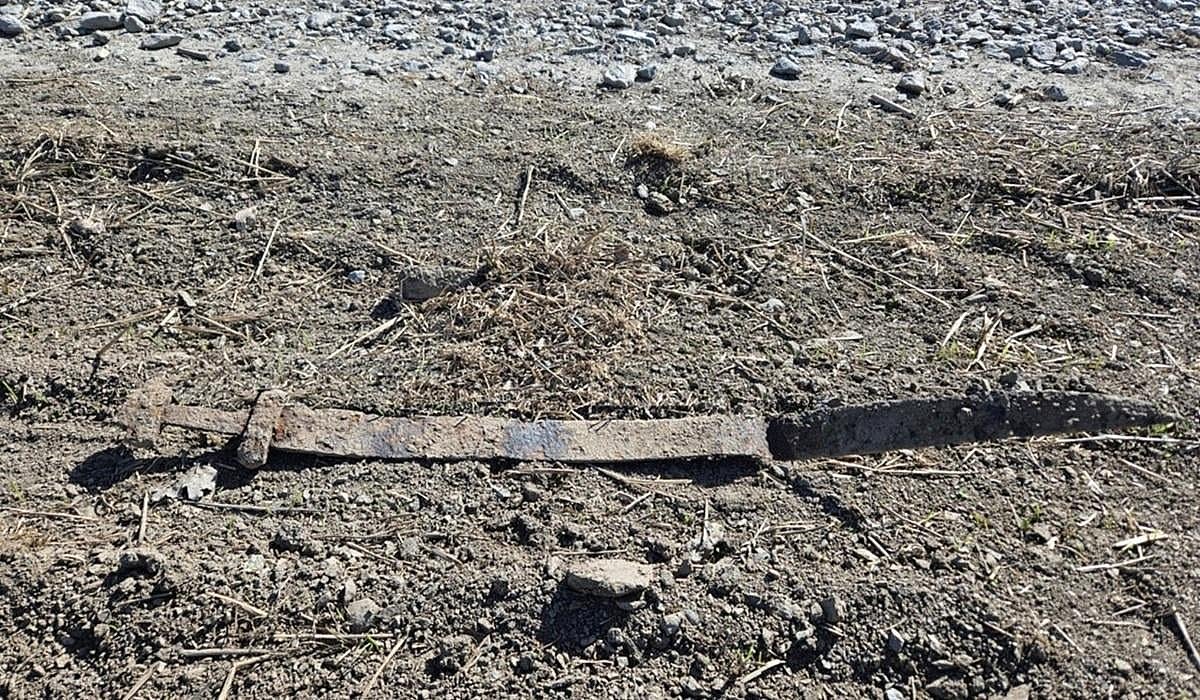 Школьник в Норвегии нашел меч возрастом 1300 лет