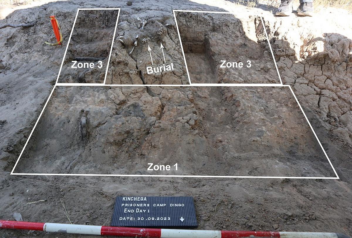 Археологи нашли скелет животного возрастом 1000 лет