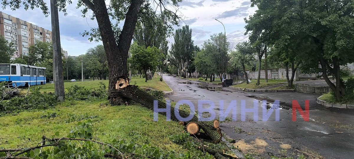 Упавшее дерево перекрыло проезжую часть в центре Николаева (видео)