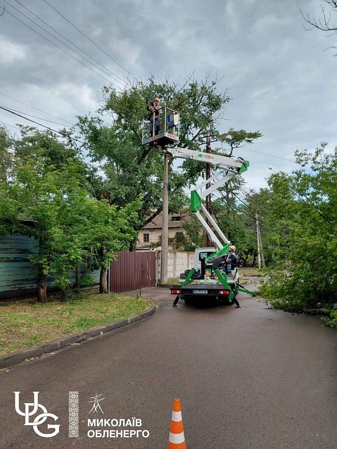 В Николаеве дерево повредило линию электропередачи