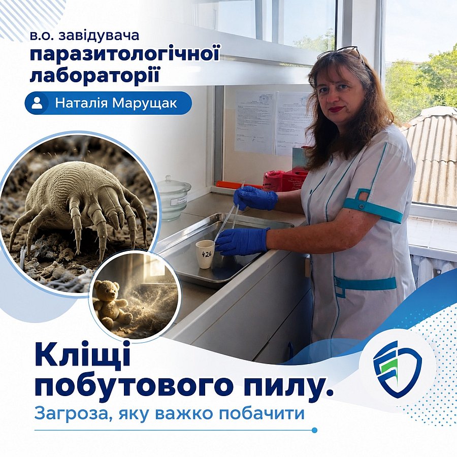У будинках мешканців Миколаївської області виявили шість видів пилових кліщів