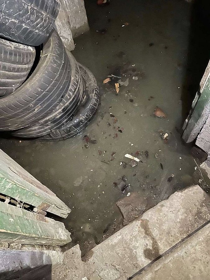 В Николаеве подвал дома две недели затоплен канализацией: смрад идет в квартиры