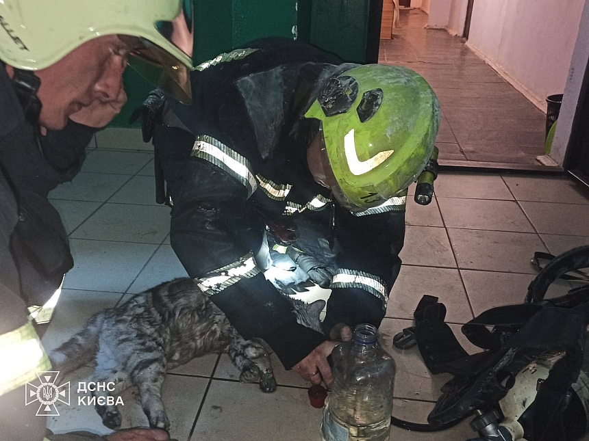 В Киеве из пожара спасли мужчину и его кота (фото)
