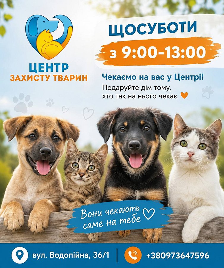 В Николаеве на лето отменили выставки животных в Каштановом сквере: названа причина
