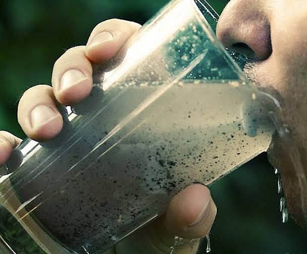 У водоймах Миколаївської області виявлено холероподібний вібріон