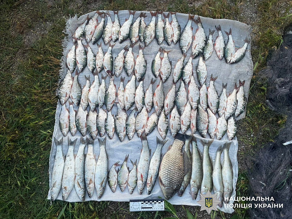 На Николаевщине браконьеры попались с уловом во время ночного рейда