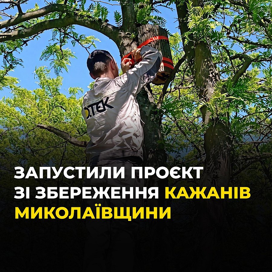 В Николаевской области начали устанавливать домики для летучих мышей
