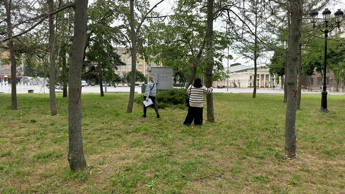 Комісія обстежила Флотський бульвар у Миколаєві: частину дерев визнано аварійними - їх знесуть