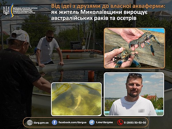 Под Николаевом выращивают осетров и австралийских раков