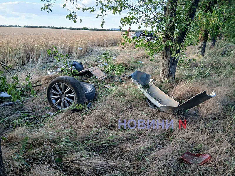 Под Николаевом «Лексус» слетел с дороги: госпитализированы водитель и ребенок