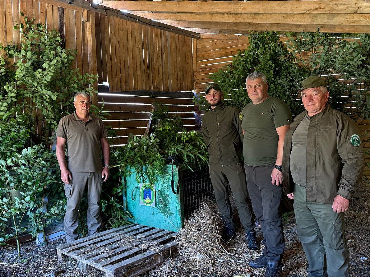 В Карпатах спасли двух осиротевших медвежат: малышей передали в реабилитационный центр (фото)