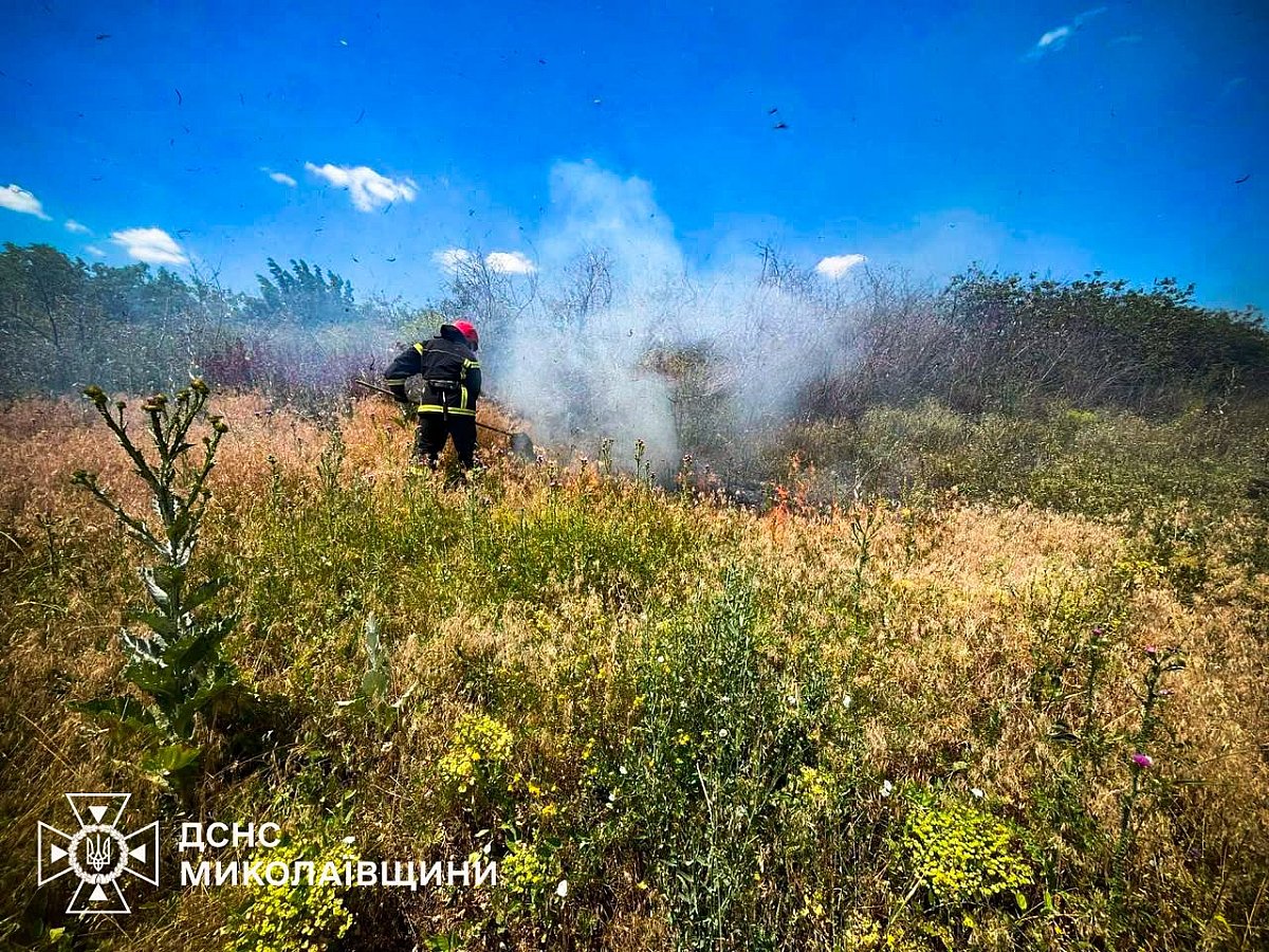 За сутки на Николаевщине произошло 24 пожара: огнем уничтожено более 10 гектаров экосистем