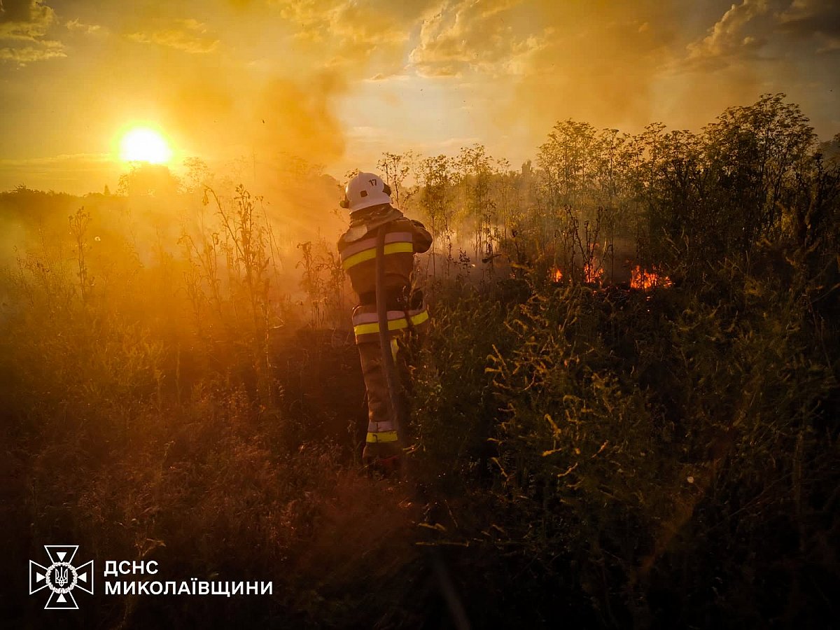 За сутки на Николаевщине произошло 24 пожара: огнем уничтожено более 10 гектаров экосистем