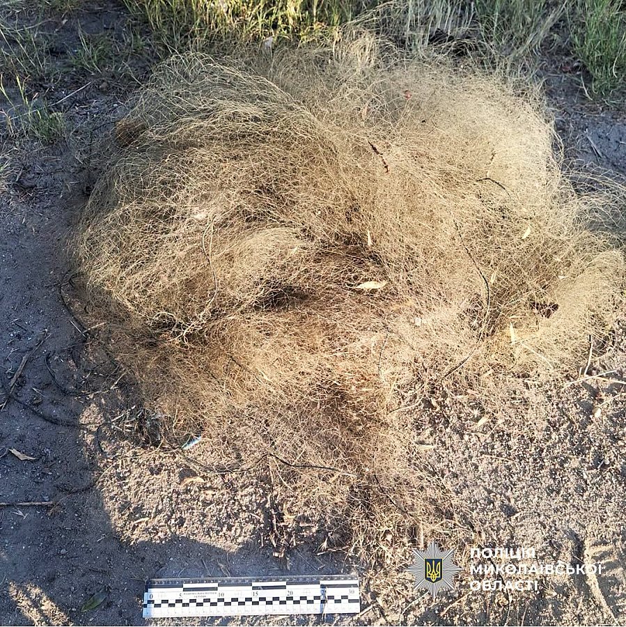 В Николаевской области задержали браконьера с уловом на более 1 млн гривен