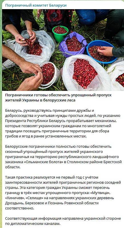 В Беларуси предложили упростить пересечение границы для украинцев в сезон сбора ягод