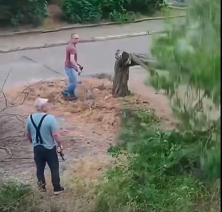 В Николаеве неизвестные срубили зеленые деревья: жители забили тревогу