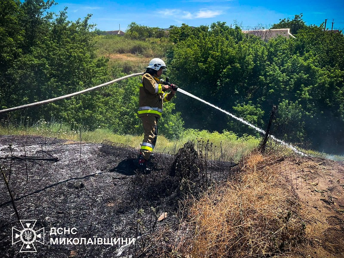 За добу на Миколаївщині сталося понад 20 пожеж: вогонь з полів перекинувся на дачу, вигоріло 30 гектарів