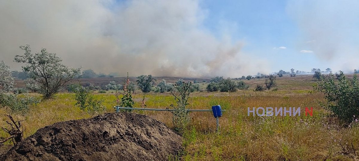 У передмісті Миколаєва збили ворожий дрон - почалася пожежа (фото)