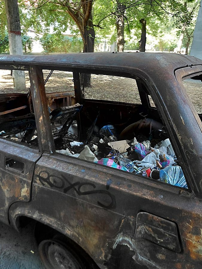 Вонь и зеленые мухи: в Николаеве из сгоревшей машины сделали мусорник (фото)