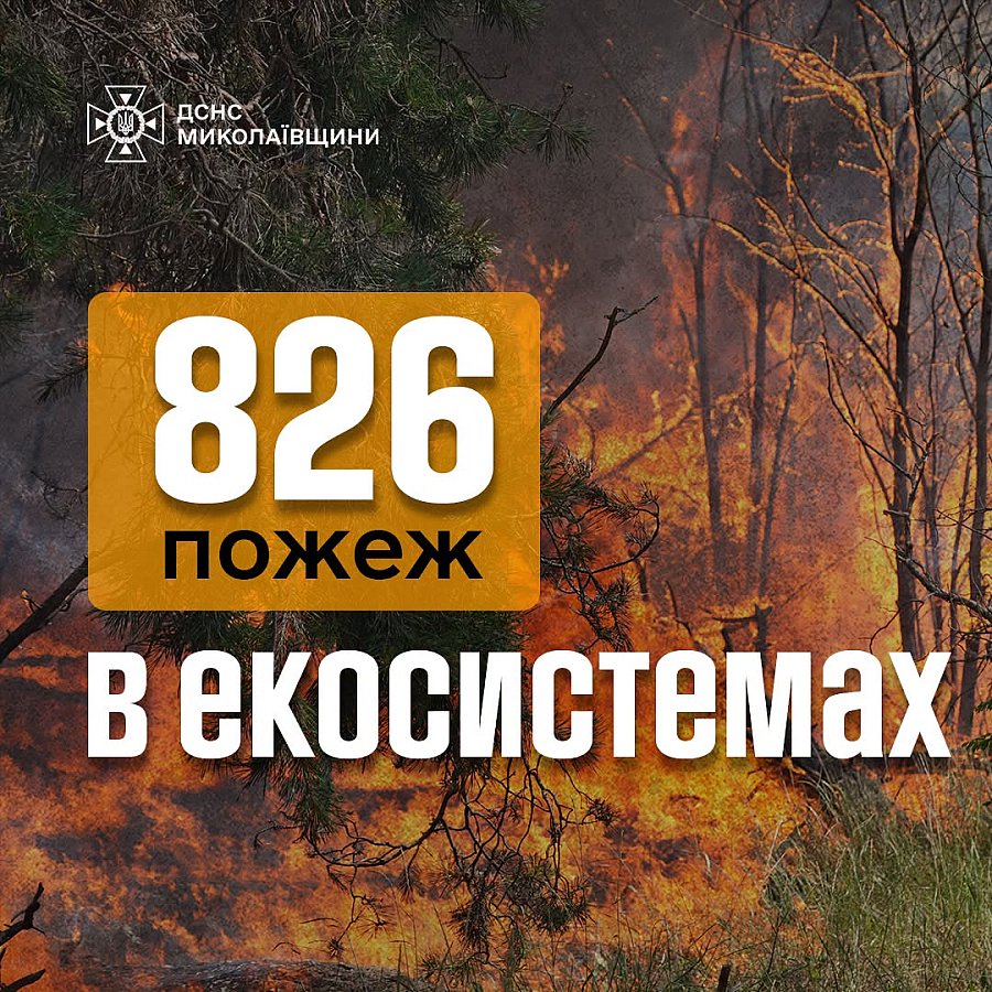 В Николаевской области объявлен высший уровень пожарной опасности: с начала года произошло более 800 пожаров в экосистемах