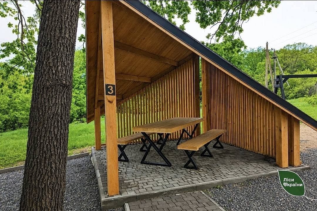 Под Николаевом и в области появятся новые места для семейного отдыха в лесу