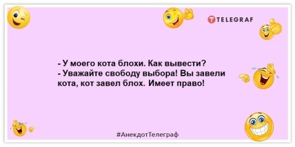 Если хочешь найти потерявшихся когда-то родственников, купи дом у моря: веселые анекдоты (ФОТО)