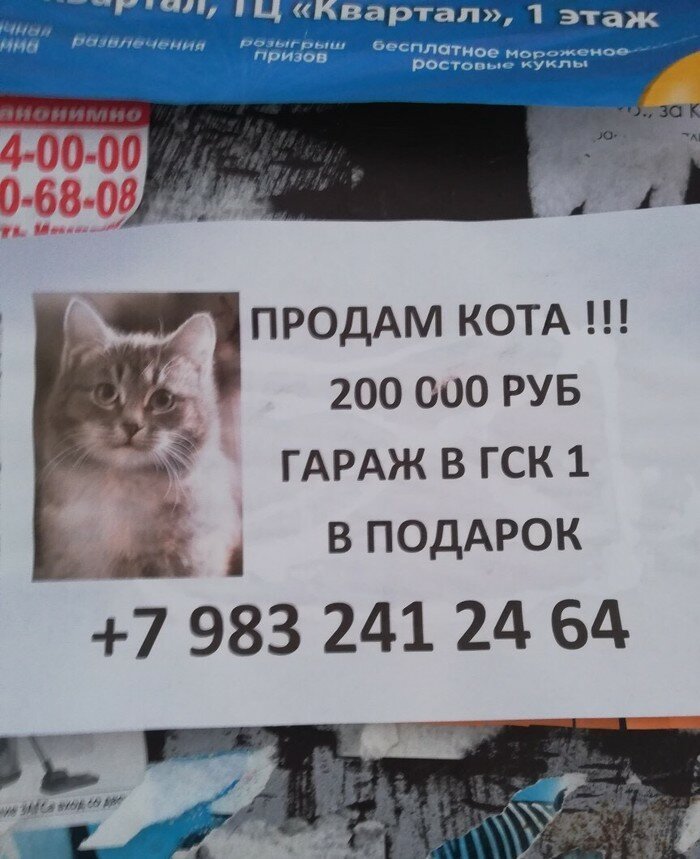  Боги маркетинга, способные продать даже кота по цене гаража (20 фото) 