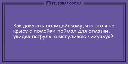 Самое время улыбнуться: вечерние анекдоты для хорошего настроения (ФОТО)