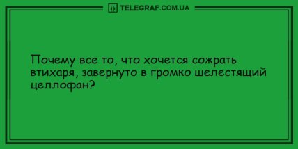 Все, что вам нужно, это хорошее настроение: подборка веселых анекдотов 