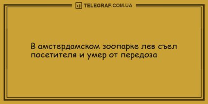 Лекарство от скуки заказывали? Подборка смешных анекдотов для настроения 