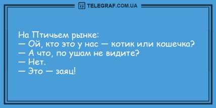 Только позитив и отличное настроение: подборка веселых анекдотов (ФОТО)