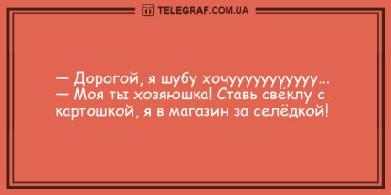 Только позитив и отличное настроение: подборка веселых анекдотов